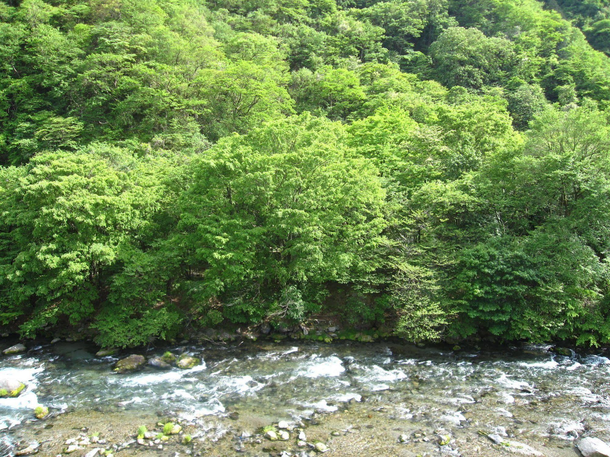 Koduchi No Yado Tsurukamedaikichi Hotel Nikko Buitenkant foto